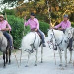 Quatre cavaliers élégamment vêtus, montés sur de magnifiques chevaux blancs, se tiennent sur un chemin entouré de verdure luxuriante, créant une ambiance romantique et sophistiquée, parfaite pour un mariage de luxe en Provence. Leurs tenues colorées ajoutent une touche de charme à un événement sur mesure, idéal pour une cérémonie grandiose dans un domaine privé ou un cadre exceptionnel. Cette scène évoque un mariage unique, où chaque détail est soigneusement orchestr