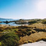 Un cadre idyllique pour un mariage de luxe en Corse, mettant en valeur une vue panoramique sur la mer et les montagnes. Ce lieu exceptionnel, idéal pour une cérémonie romantique, offre un environnement sophistiqué pour une célébration grandiose. La beauté naturelle des environs crée l’atmosphère parfaite pour un événement sur mesure, où chaque détail est soigneusement organisé par By Mademoiselle C. Un mariage de rêve dans un domaine privé, alliant élégance et charme pour un moment in