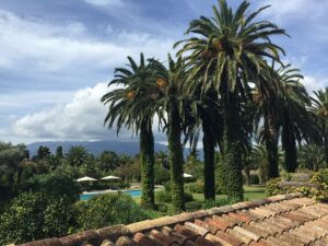 Une vue panoramique sur un domaine privé en Provence, où se déroulent des mariages de luxe. Les palmiers majestueux entourent une piscine scintillante, créant une ambiance romantique et sophistiquée pour une cérémonie grandiose. Cet endroit exceptionnel est idéal pour une célébration sur mesure, promettant une expérience inoubliable pour un mariage de rêve. Le cadre verdoyant, avec ses jardins luxuriants, évoque un événement unique, parfaitement organisé par By Mademoiselle